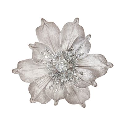 Premier-Silver-Velvet-Magnolia