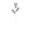 Premier-Silver-Bristle-Fern-Stem