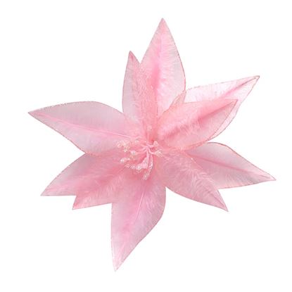 Premier-Pink-Sheer-Poinsettia-With-Feather