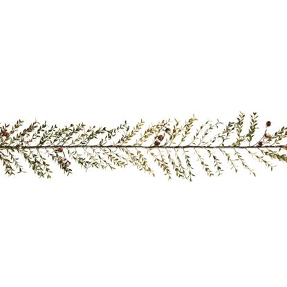 Premier-White-Berry-Garland