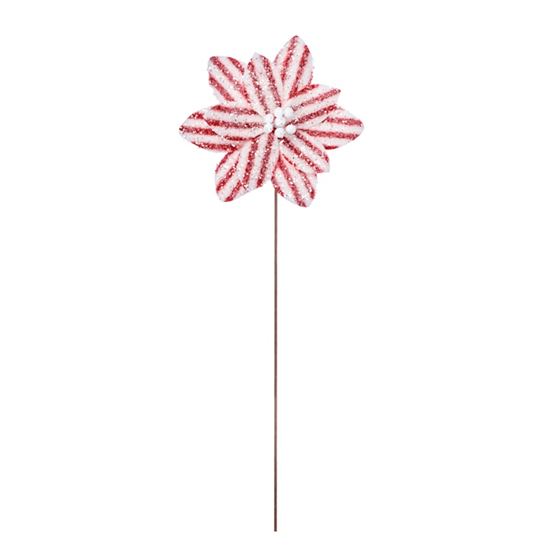 Premier-Red-White-Stripe-Flower-On-Stem