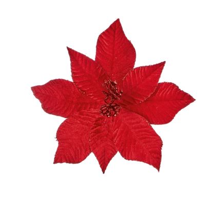 Premier-Red-Velvet-Poinsettia-Flower