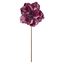 Premier-Plum-Velvet-Magnolia-On-Stem