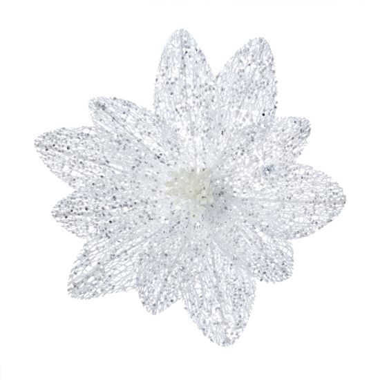 Premier-White-Sparkle-Poinsettia-Flower