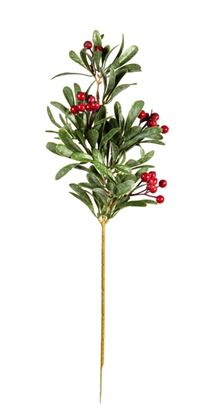 Premier-Dusty-Mistletoe-Stem