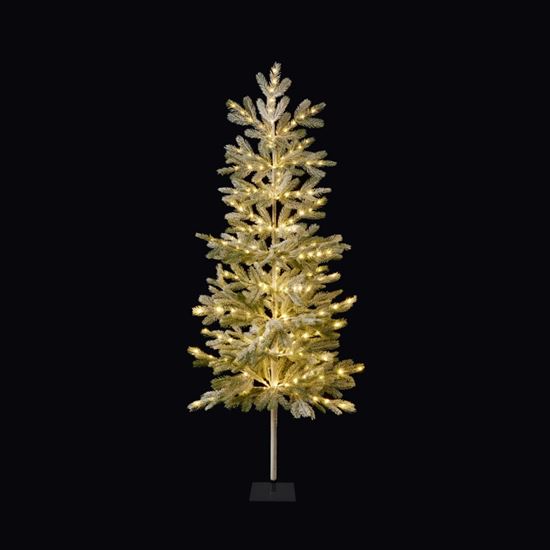 Premier-Lit-Pine-Needle-Tree-220-Warm-White-LEDs