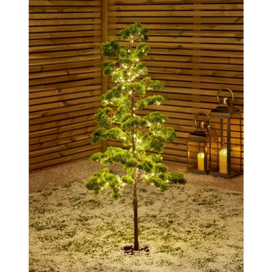 Premier-Japanese-Pine-Tree-260-Warm-White-LEDs