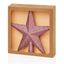 Premier-Plum-Tree-Top-Star-Glitter