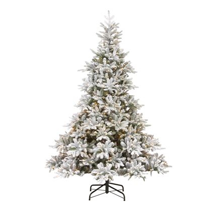 Premier-Prelit-Frosted-Andorra-Fir-350-LEDs