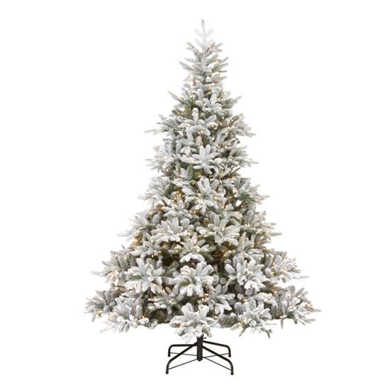 Premier-Prelit-Frosted-Andorra-Fir-350-LEDs