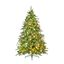 Premier-Prelit-Frost-Dorchester-Pine-LEDs