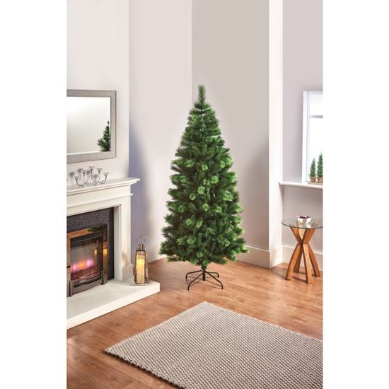 Premier-Slim-Nevada-Fir-Tree