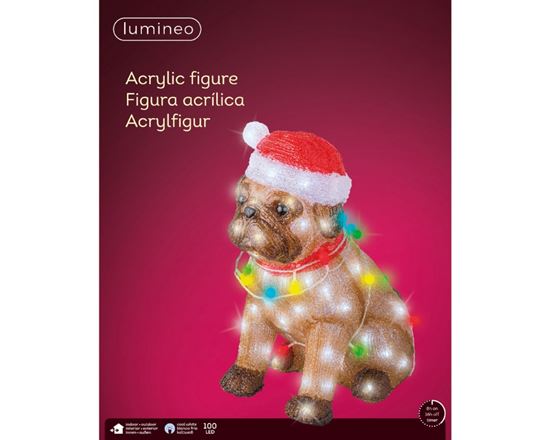 Lumineo-100-LED-Dog