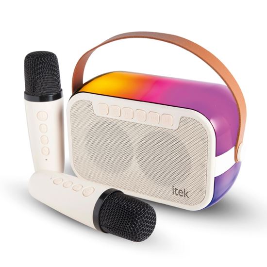 Itek-Portable-Bluetooth-Speaker-With-2-Microphones