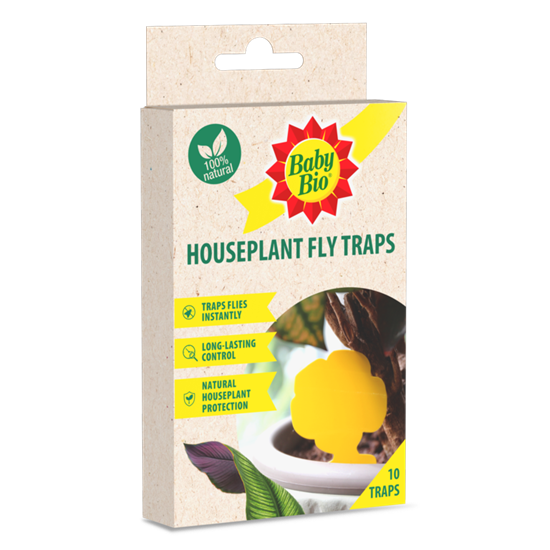 Baby-Bio-Houseplant-Fly-Traps