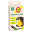 Baby-Bio-Houseplant-Fly-Traps