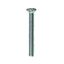 Securpak-Switch-Plate-Screw-Zp-M35x50mm