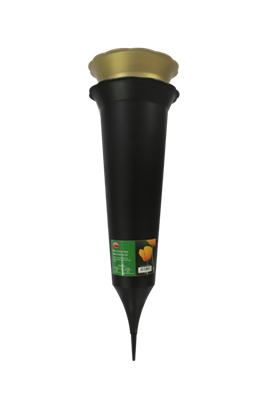 Ambassador-Gold-Grave-Spike