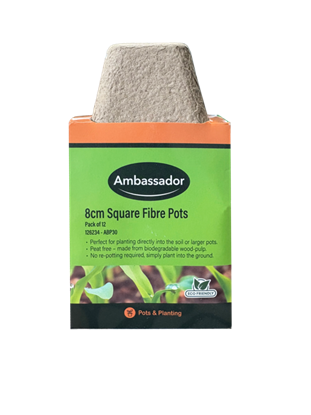 Ambassador-8cm-Square-Fibre-Pots