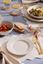 Price--Kensington-Daisy-Dinner-Plate
