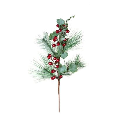 Premier-Frosted-Berry-Pick