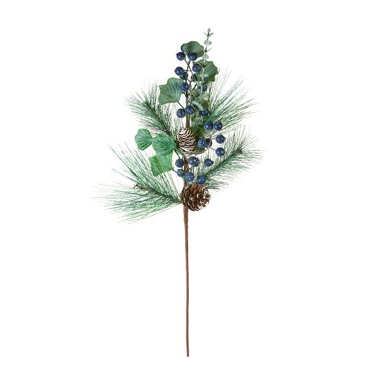 Premier-Blueberry-Stem