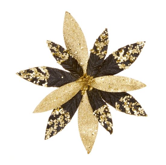 Premier-Black-Poinsettia-With-Glitter--Gold-Sequins