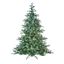 Premier-Whistler-Spruce