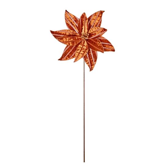 Premier-Orange-Flower-On-Stem