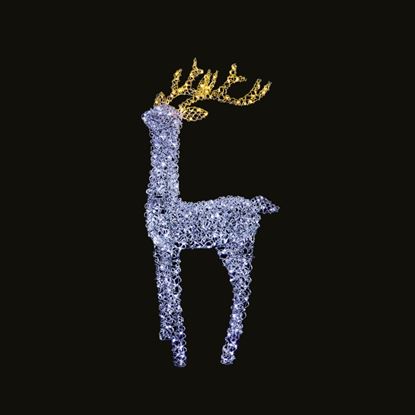 Premier-Multi-Action-340-LED-Stag