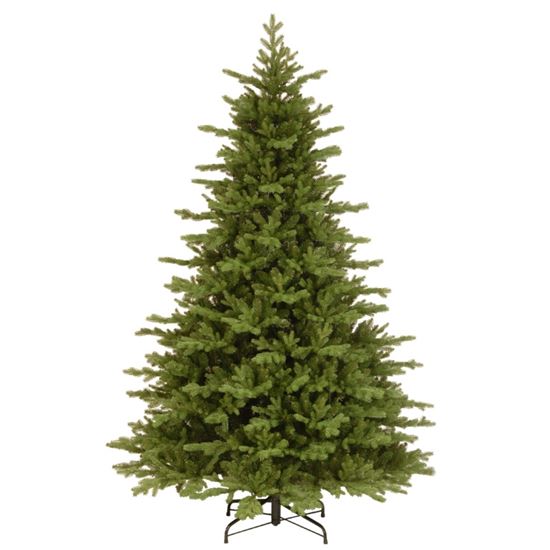 Premier-Feel-Real-Vienna-Fir