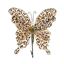 Premier-Champagne-Gold-Sequin-Butterfly