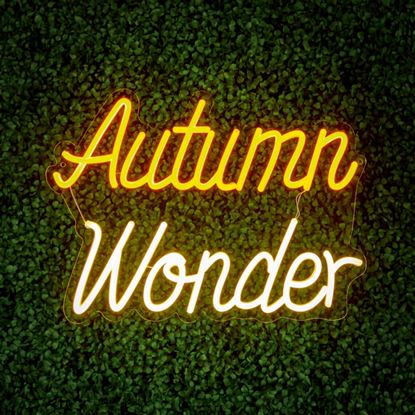 Premier-Autumn-Wonder-LED-Neon-Sign