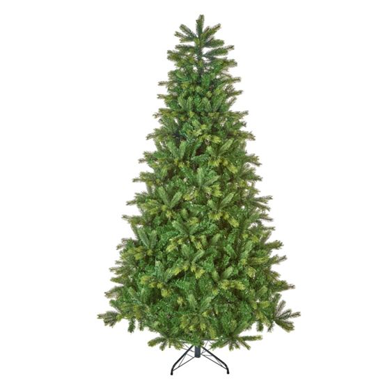 Premier-Barneswood-Spruce-Tree