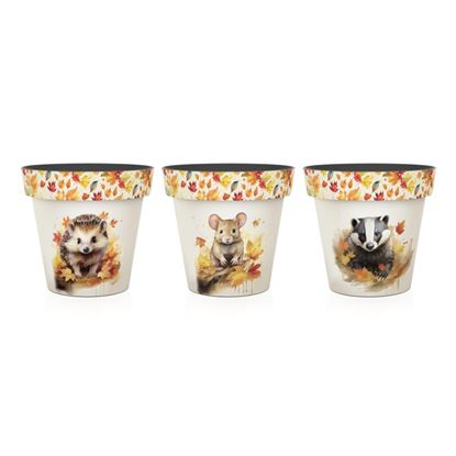 Premier-Finlay--Friends-Printed-Pots