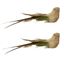 Premier-2-Piece-Dark-Green-Corduroy-Bird-On-Clip