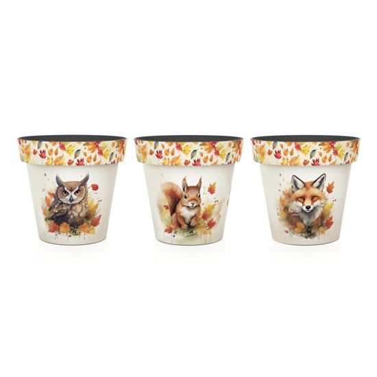 Premier-Finlay--Friends-Printed-Pots