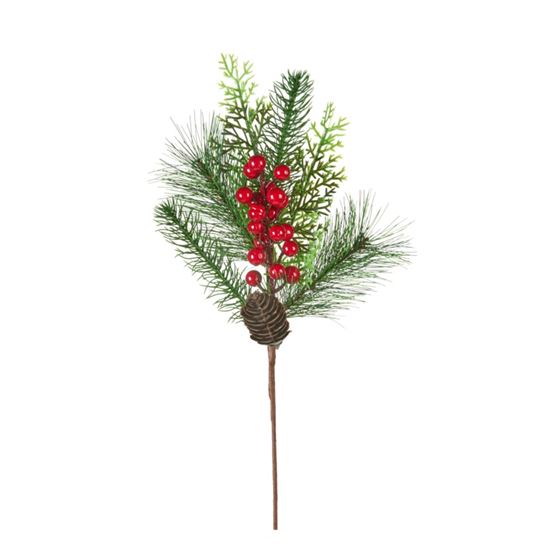 Premier-Berry-Cone-Pick