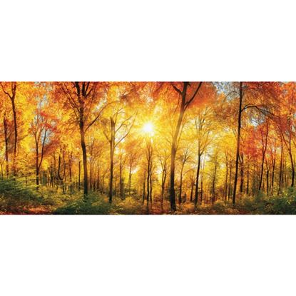 Premier-Autumn-Trees-Fabric-Backdrop
