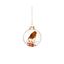 Premier-Clear-Glass-Robin-Foliage-Bauble