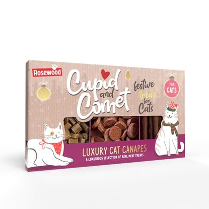 ROSEWOOD-Luxury-Cat-Canapes