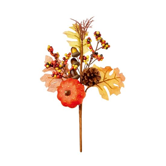 Premier-Pumpkin-Pick