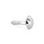 Securpak-Mirror-Screw-Cp-Head-38mm