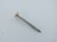 Securpak-Plastic-Headed-Nail-White