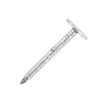 Securpak-Large-Head-Clout-Nails