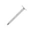 Securpak-Clout-Nails-Galvanised