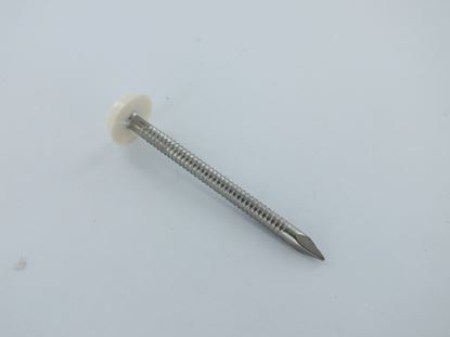 Securpak-Plastic-Headed-Nail-White