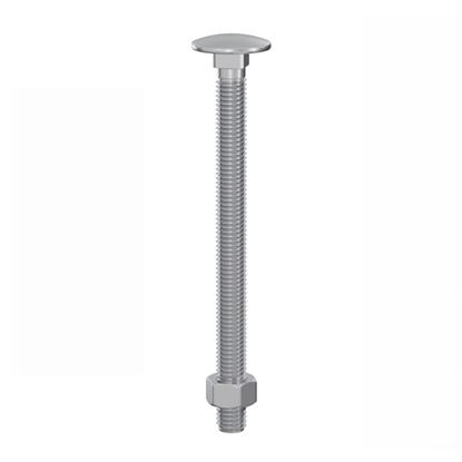 Securpak-Carriage-Bolts--Nuts