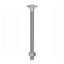 Securpak-Carriage-Bolts--Nuts
