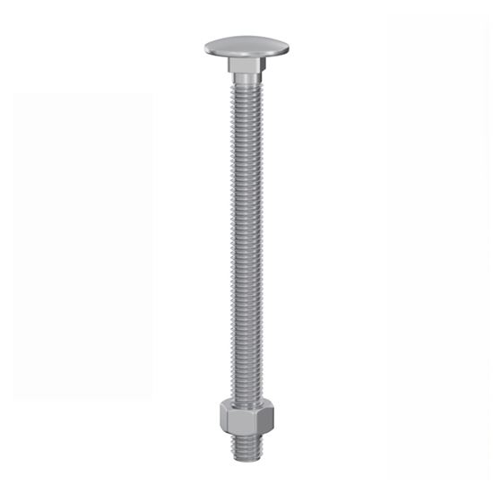Securpak-Carriage-Bolts--Nuts